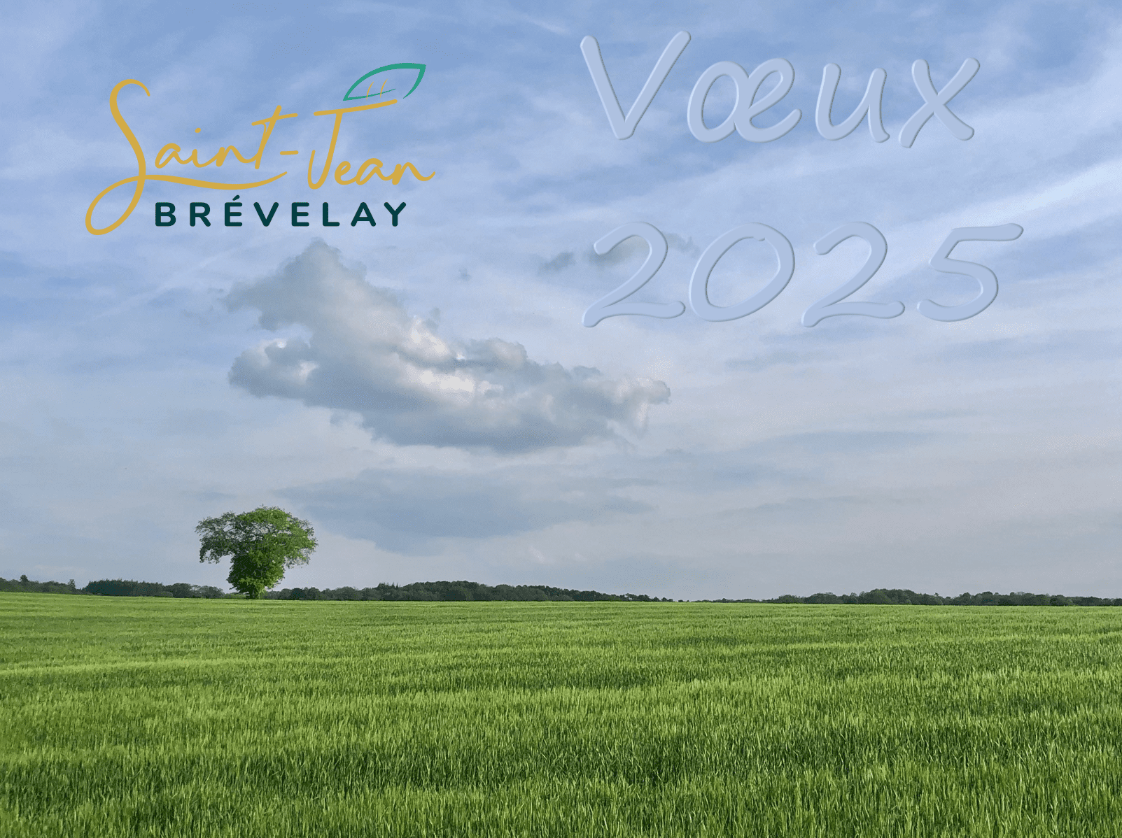 voeux 2025 d