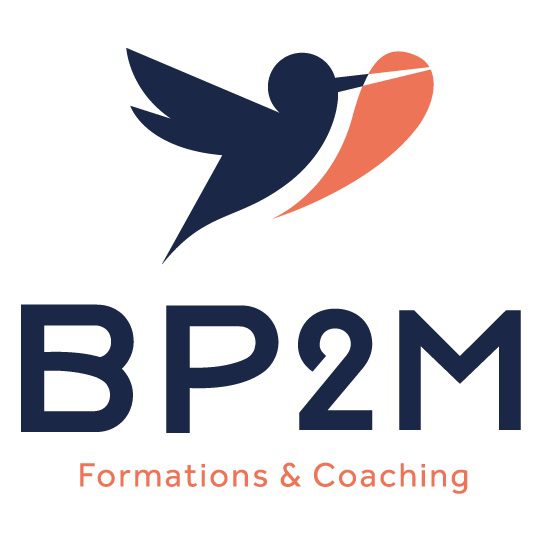 BP2M logo 163px3